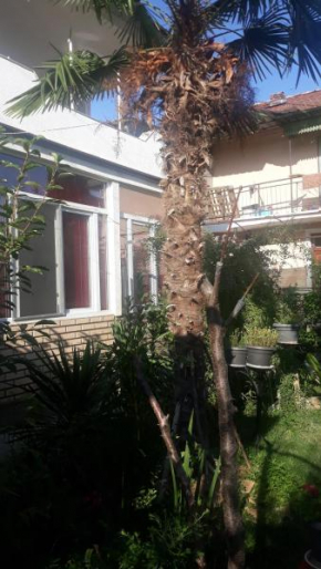 Mihailce Appartments